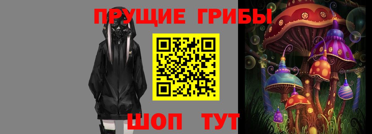Псилоцибиновые грибы GOLDEN TEACHER  Галлюциногенные грибы Cubensis  Татарск  Вход с VPN 